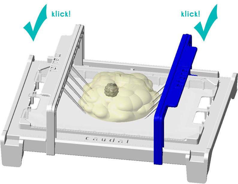 3. Montage Fixierungsbrücke