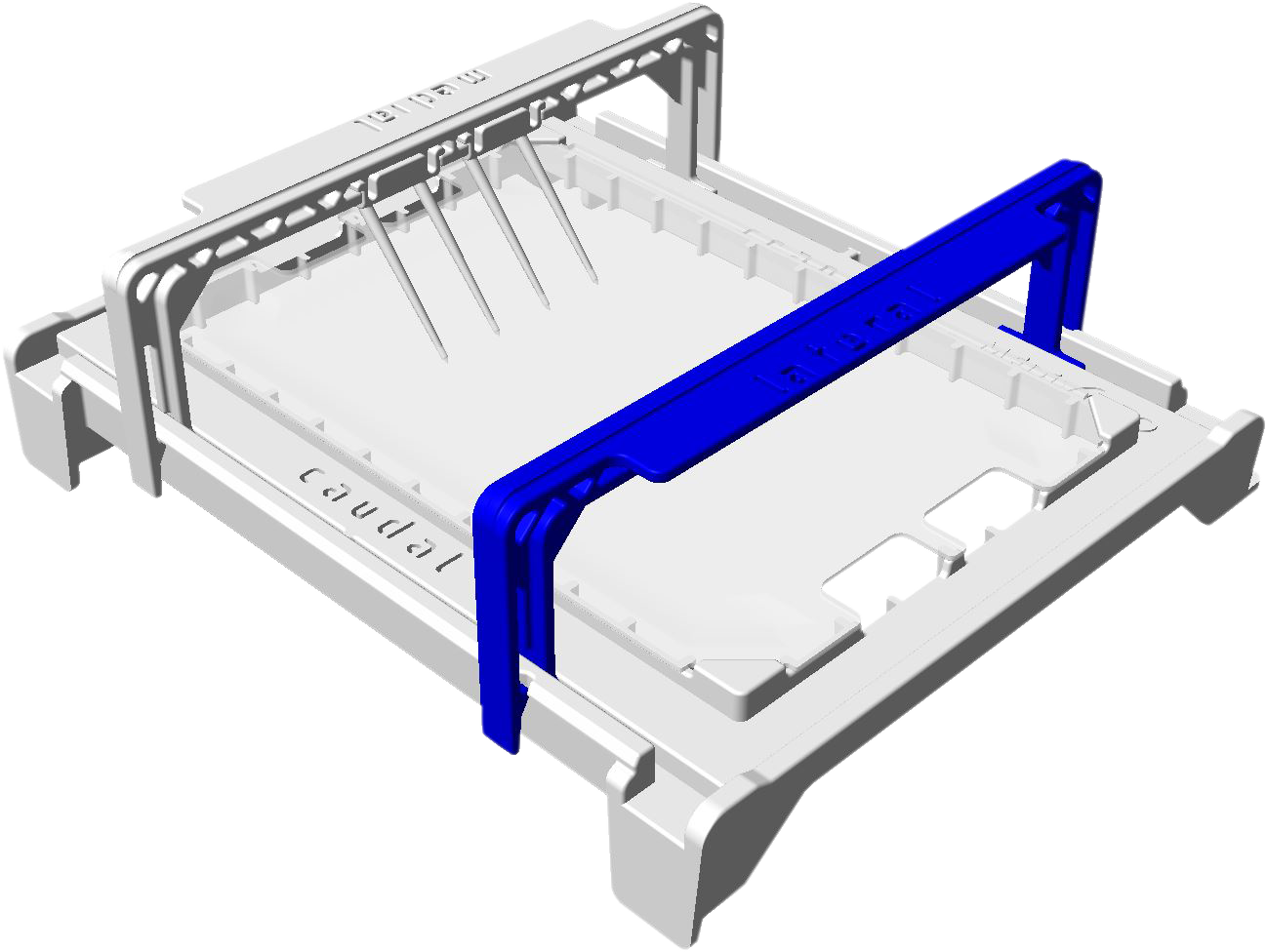 X-RAy AMtrix